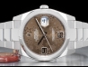 Rolex Datejust Oyster Chocolate Floral Dial - Rolex Guarantee 116200